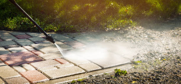 Best Solar Panel Cleaning  in Hlsboro, IL